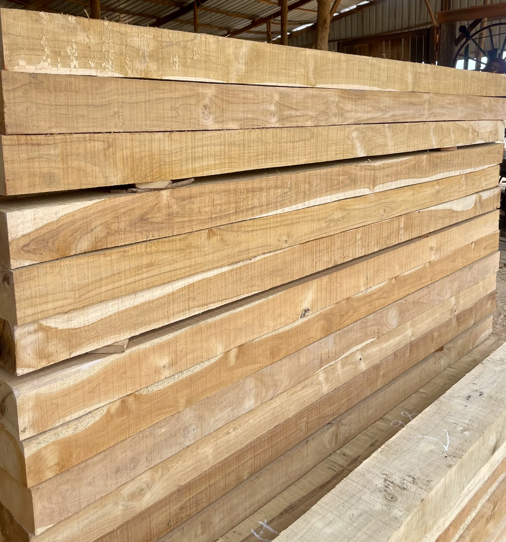 Sawn teak lumber in workshop